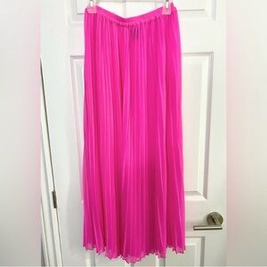 NWOT - Sheer Pink Pleated Maxi Skirt